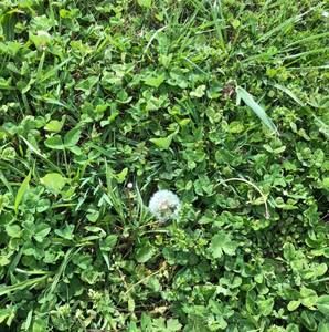 Meet your Posher, Marleisha